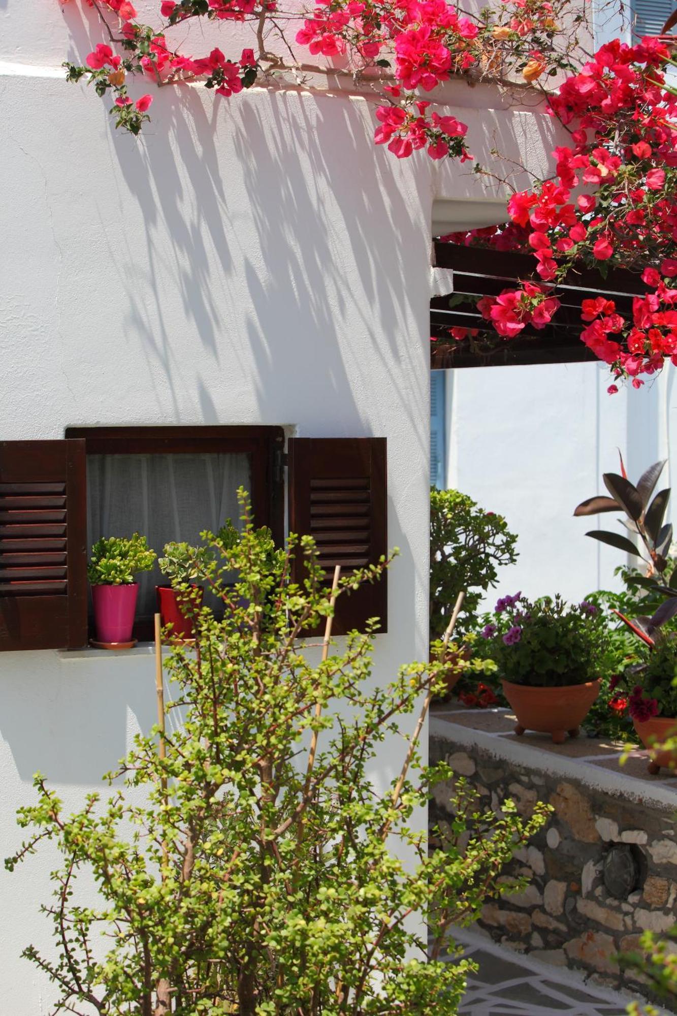 Pension Anna Naousa  Exterior photo